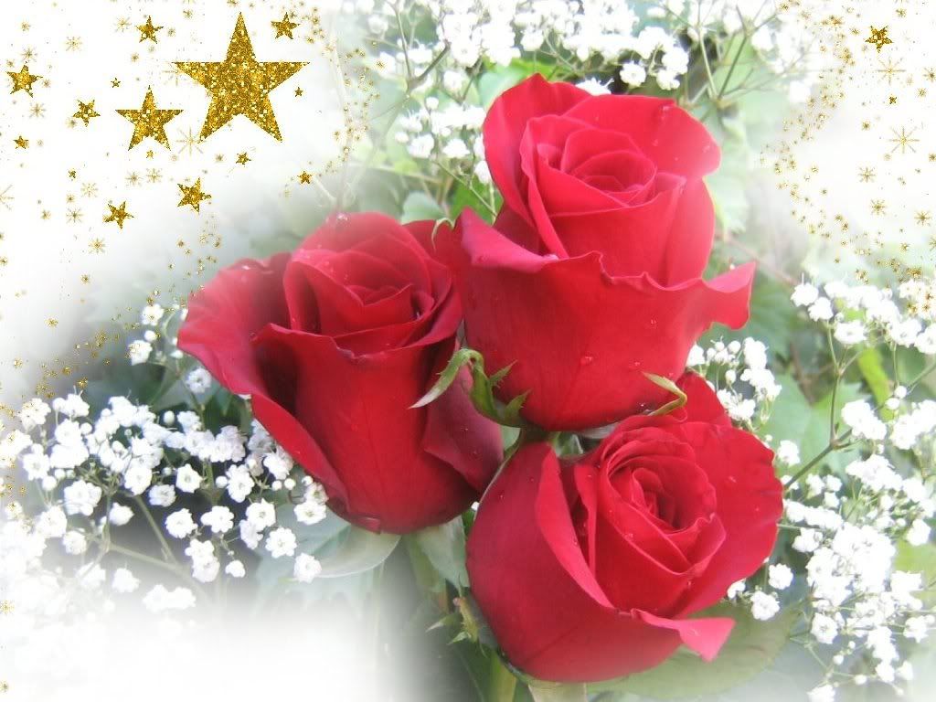 rosas_rojas.jpg dsAA image by jalisquilla18