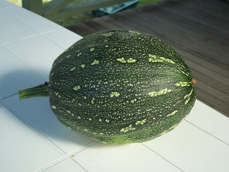 Jam Melon