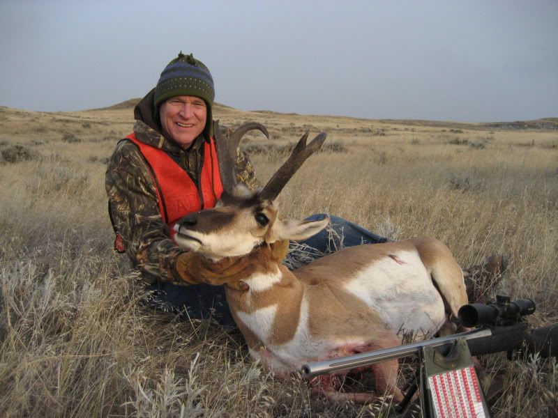 199bighornantelope09024.jpg