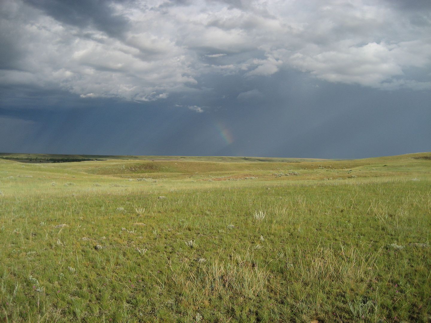 When is the Montana Antelope Draw? 24hourcampfire