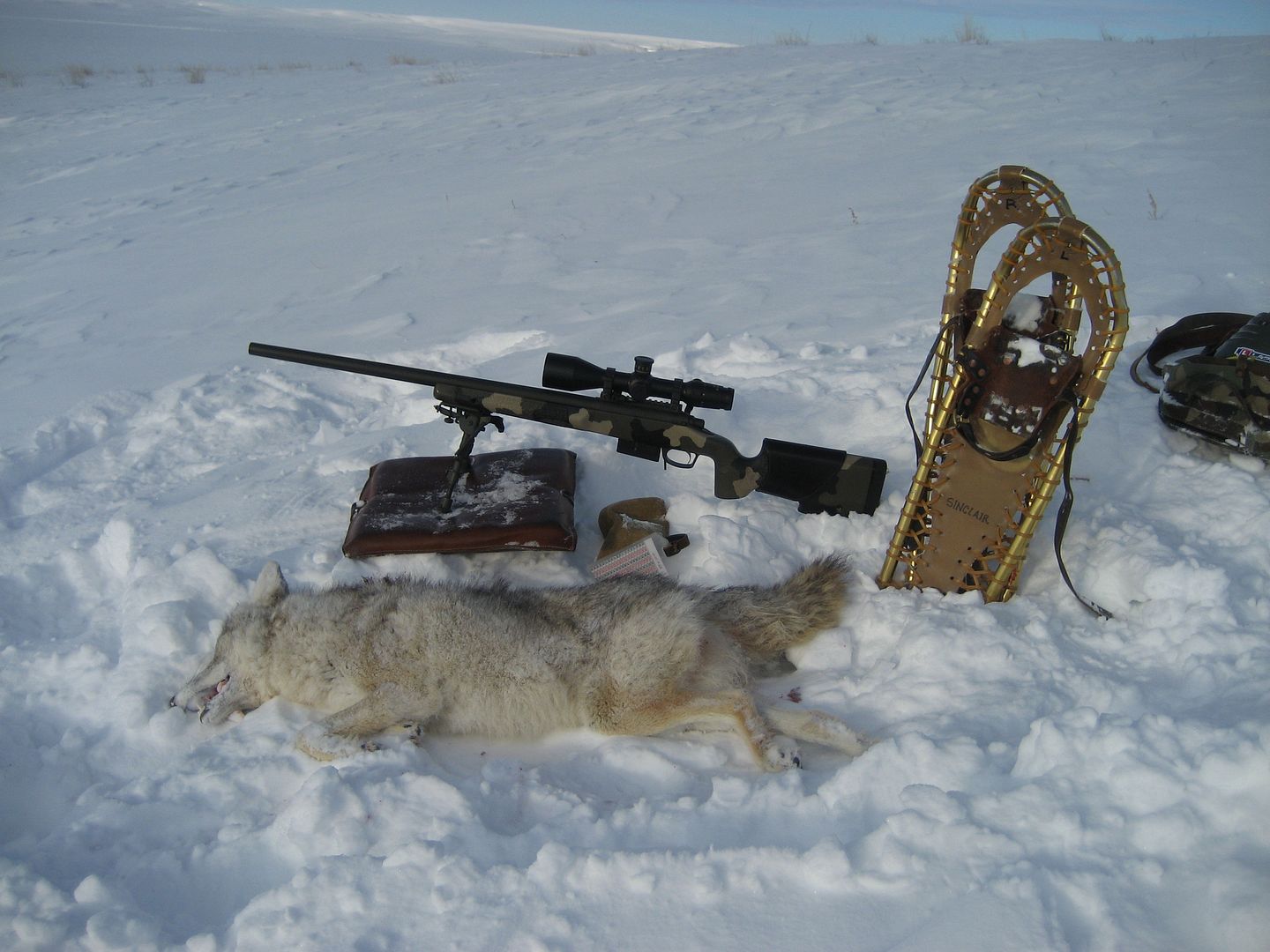 extremecold001.jpg