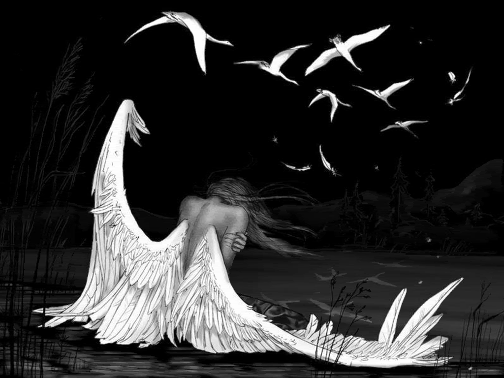 Fallen Angel gif by irvinroy84 Photobucket