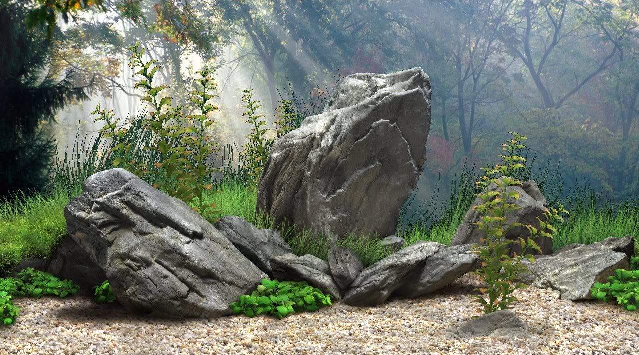 This 3D background is precut to fit a 20 gallon long tank. This 3D background is precut to fit a 20 gallon long tank.