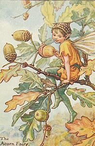 Acorns fairy Pictures, Images and Photos
