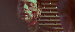 03 photo tumblr_mb2ta7Qpr41r6845ho6_250.gif
