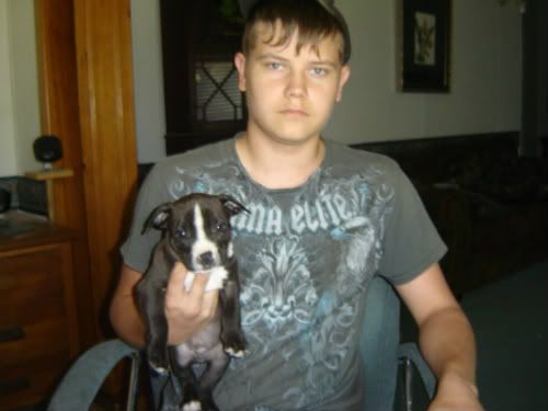 Hunting Dog - The Great Outdoors