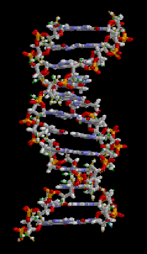 DNA_rotating_animation.gif