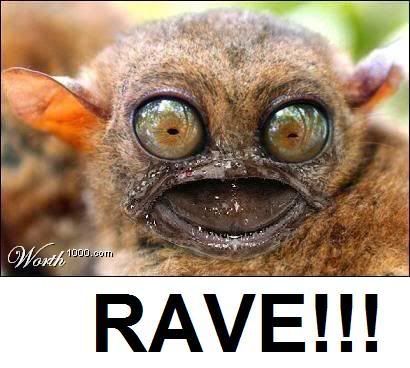 Rave Monkey