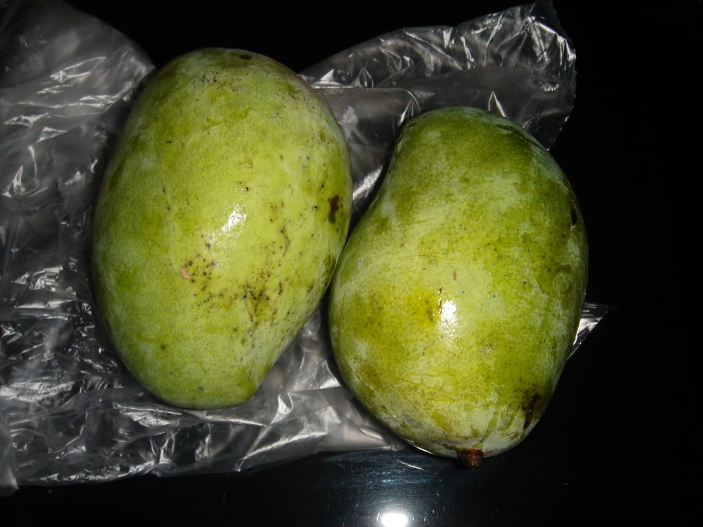 DSC00053.jpg