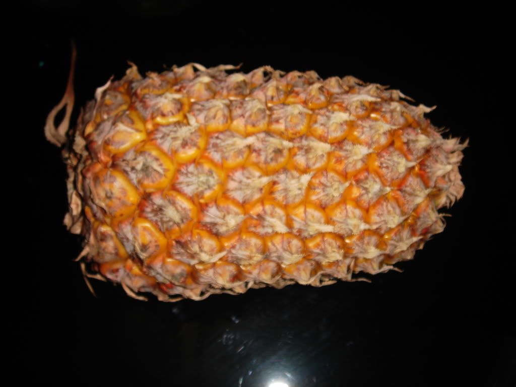 DSC00054.jpg