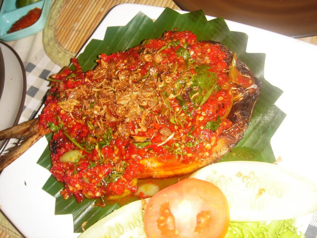 DSC00305.jpg