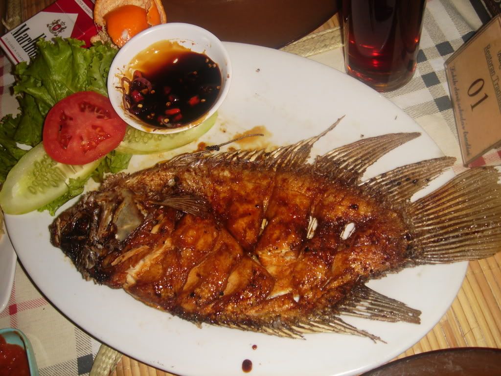 DSC00309.jpg