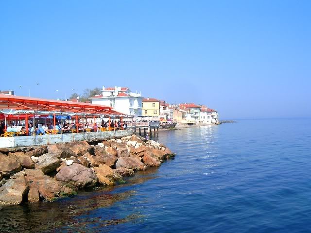 17mudanya1bd7.jpg