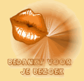 Bezoek mijn blogje