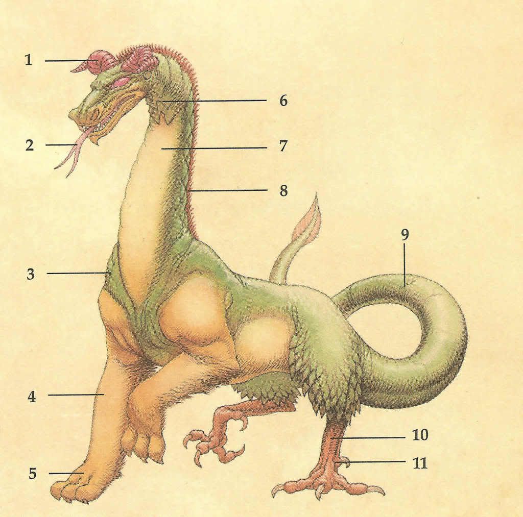 Mushussu sirrusch tannin dragon