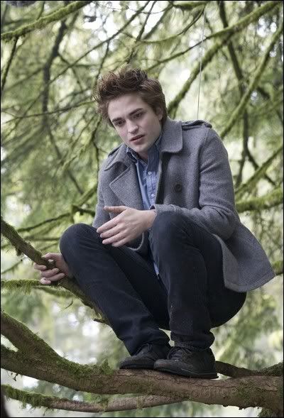 pattinson-source.blog.cz