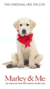 marley & me Pictures, Images and Photos