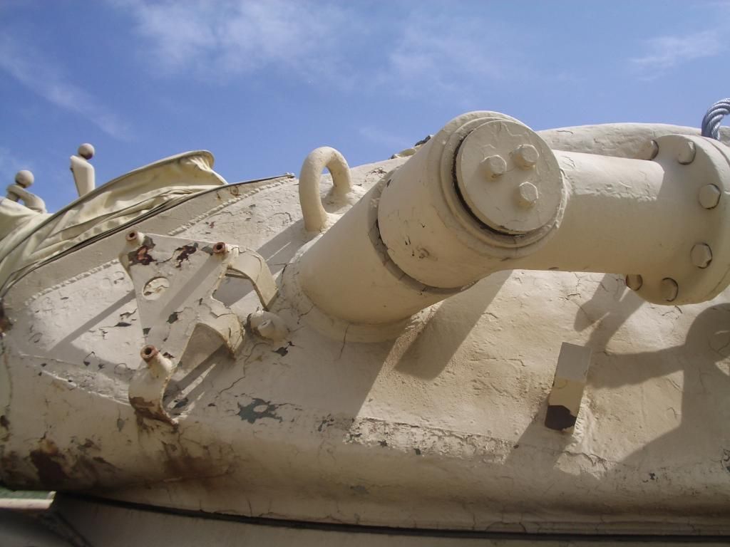 144.jpg