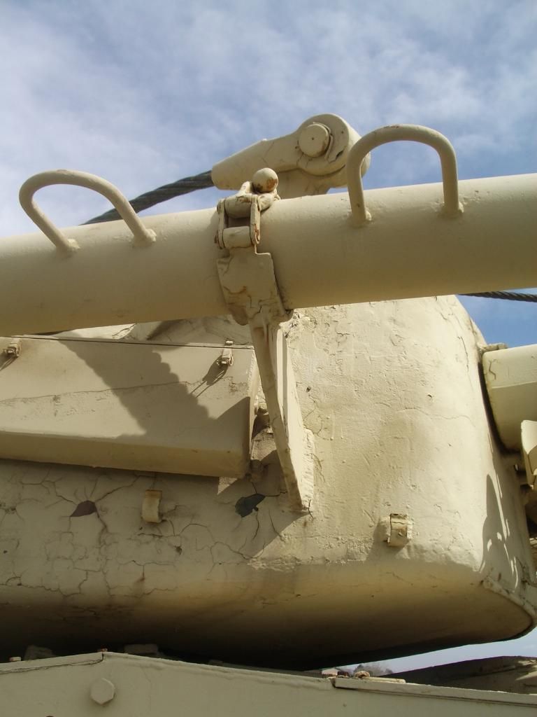 146.jpg