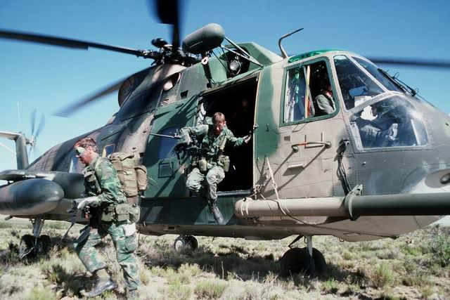 ch-3_jolly_green_06.jpg