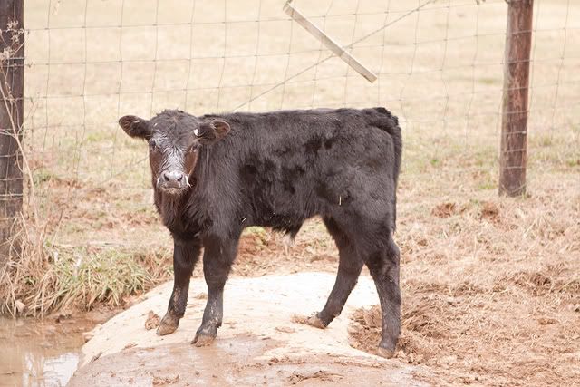 IMAGE: http://i423.photobucket.com/albums/pp320/brennasg/IMG_1433-1.jpg