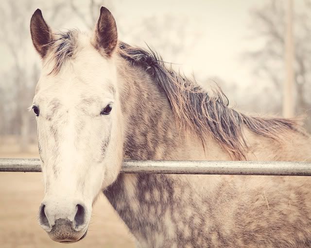 IMAGE: http://i423.photobucket.com/albums/pp320/brennasg/IMG_1463.jpg