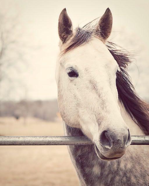 IMAGE: http://i423.photobucket.com/albums/pp320/brennasg/IMG_1469.jpg