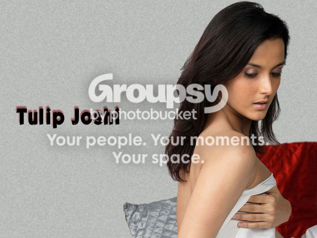 tulipjoshi-788.jpg