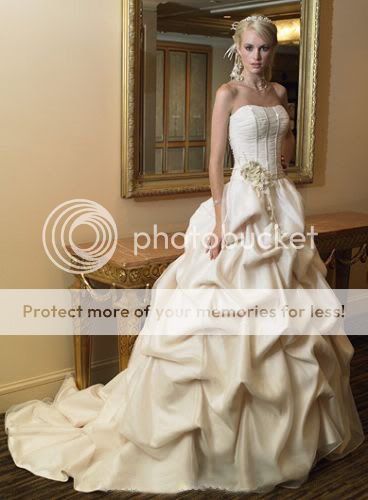 http://i423.photobucket.com/albums/pp316/rebelsgurl/Wedding%20Dresses/12.jpg
