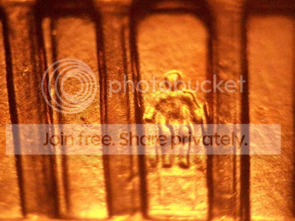 2003-P-1-DR-013-EDS-Maybe?